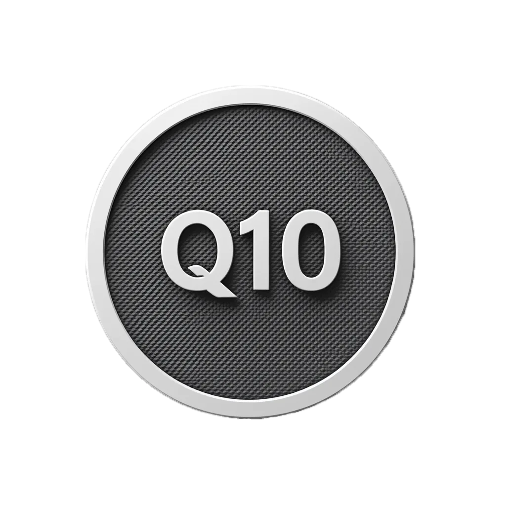 Q10 icon Q10 icon